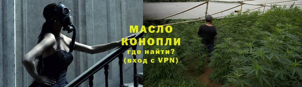 индика Михайловск