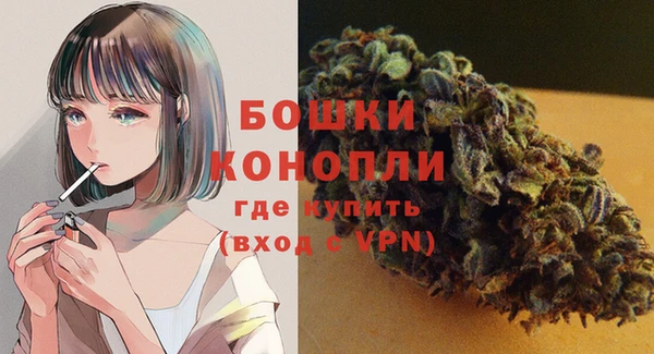 дурь Мегион