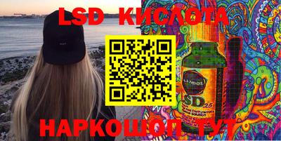 крисы Абакан