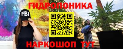 каннабис Кингисепп